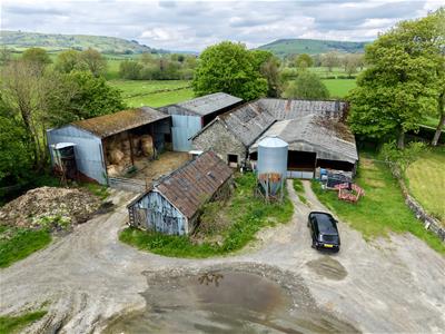 Picture 12